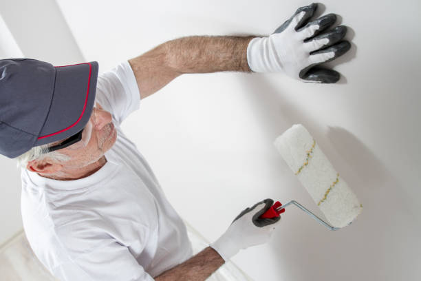 Best Emergency Mold Remediation  in Jordan, MN