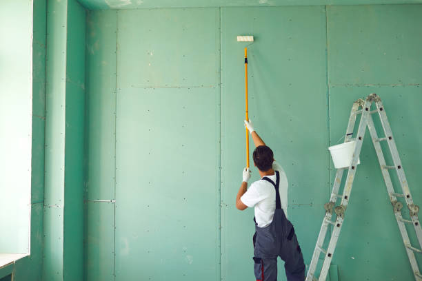 Best Asbestos and Lead Testing During Mold Inspection  in Jordan, MN
