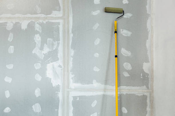 Best Industrial Mold Remediation  in Jordan, MN