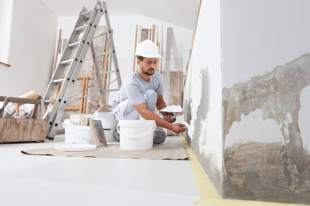 Best Water Damage & Mold Remediation  in Jordan, MN