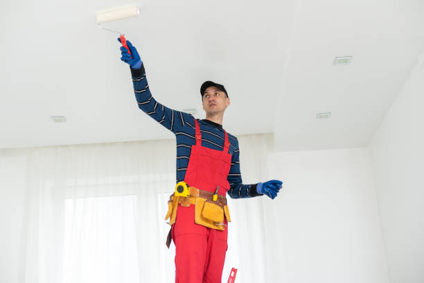 Best Mold Remediation for Healthcare Facilities  in Jordan, MN
